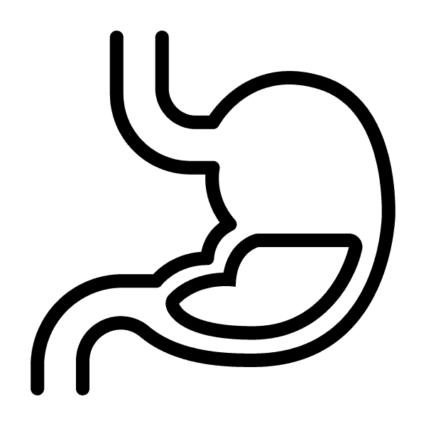 Digestive Health Digestive Health