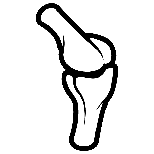 Joint Health Joint Health