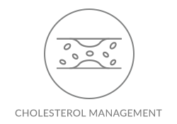 The Artery Pill Icon