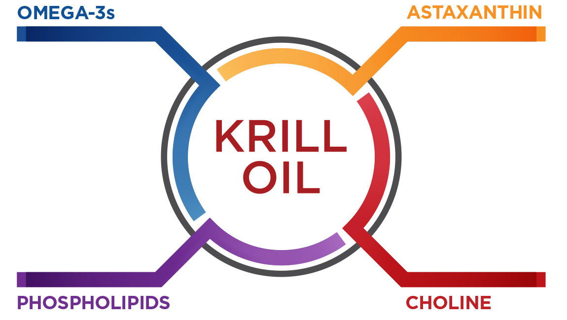Krill 50 Plus Infographic
