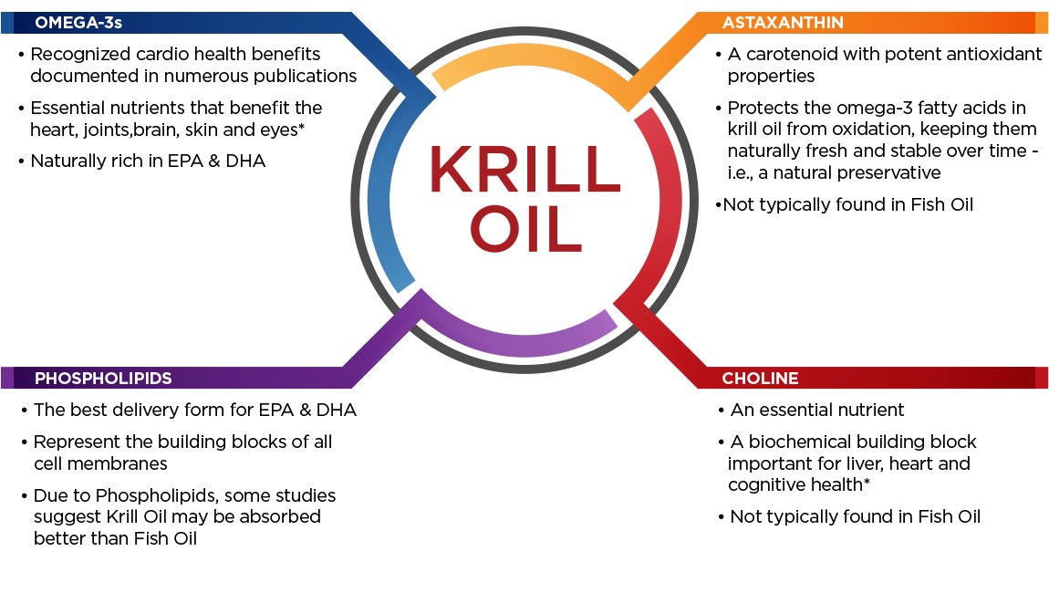 Krill 50 Plus Infographic