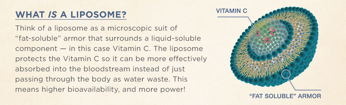Zorbz Liposomal C - What is Liposome