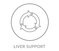 OJC Icon